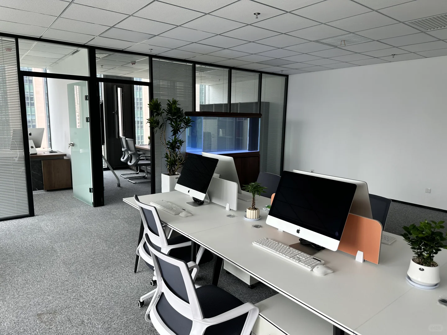 97年老板来整顿职场了