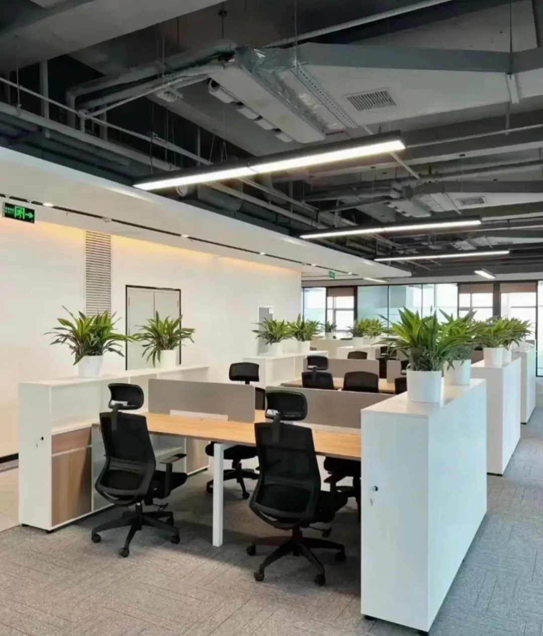 双休工作招聘啦🎉🎉🎉