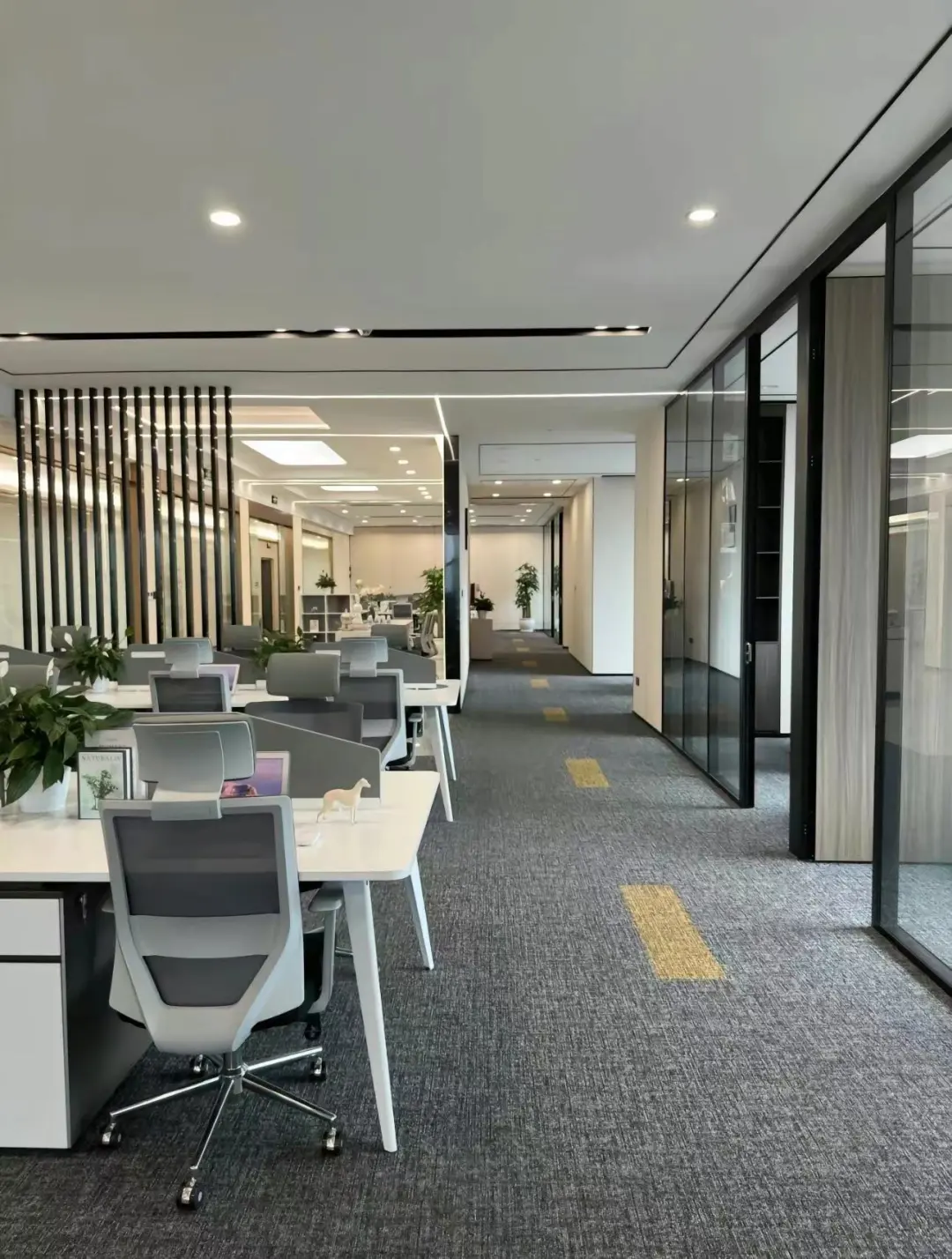 双休工作招聘啦🎉🎉🎉