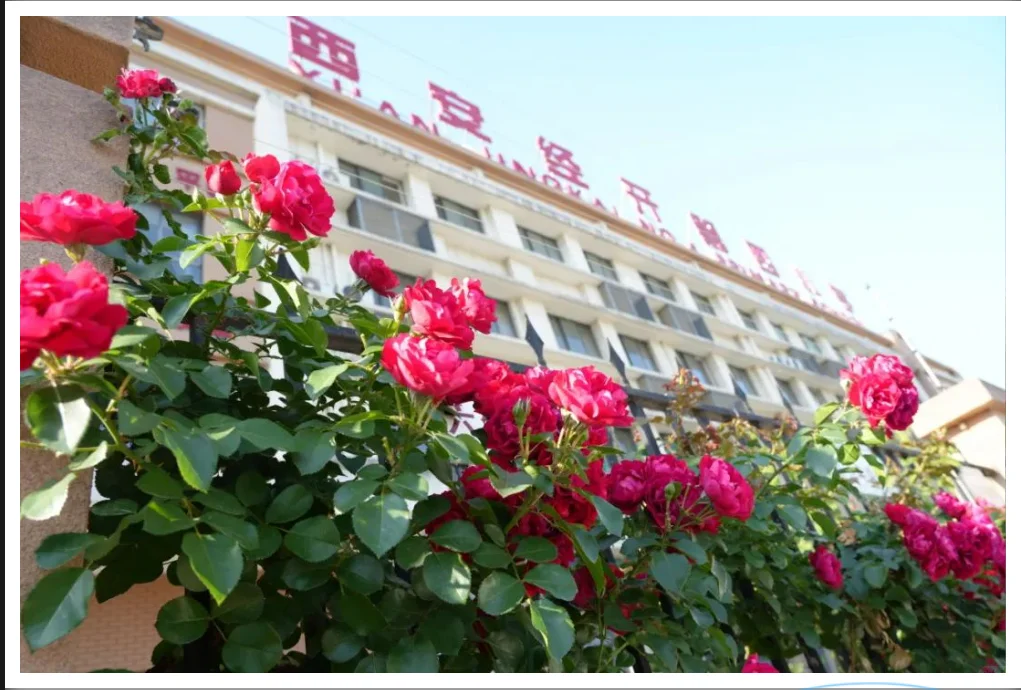 西安经开第四小学教师招聘