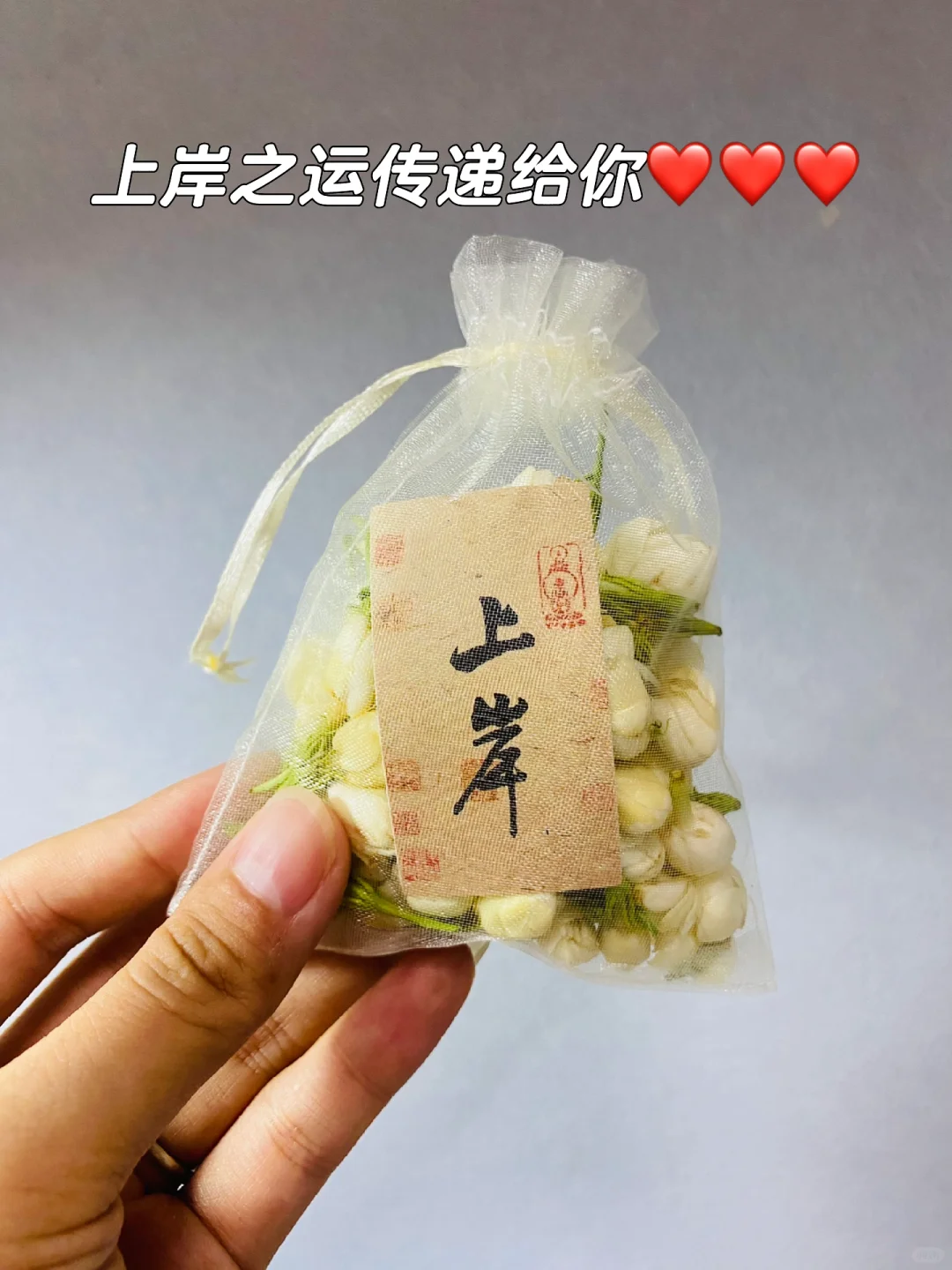 又是一年高校招聘季！！！抓紧上岸吧！