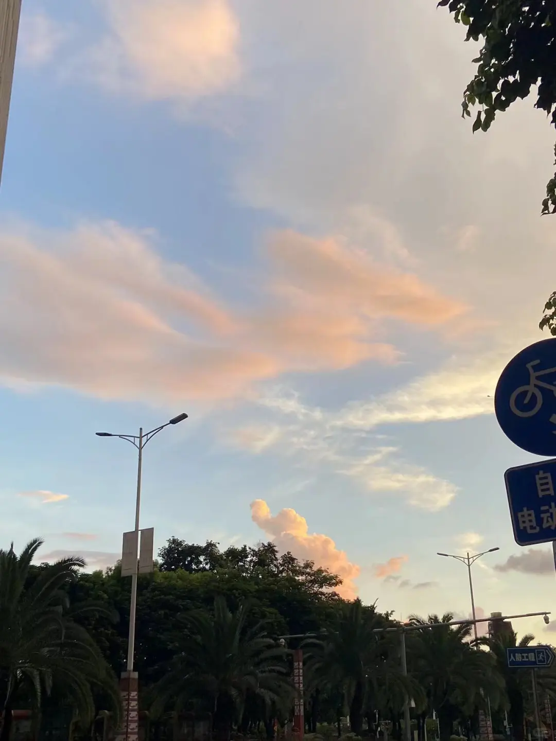 公司扩招，我来内推啦！