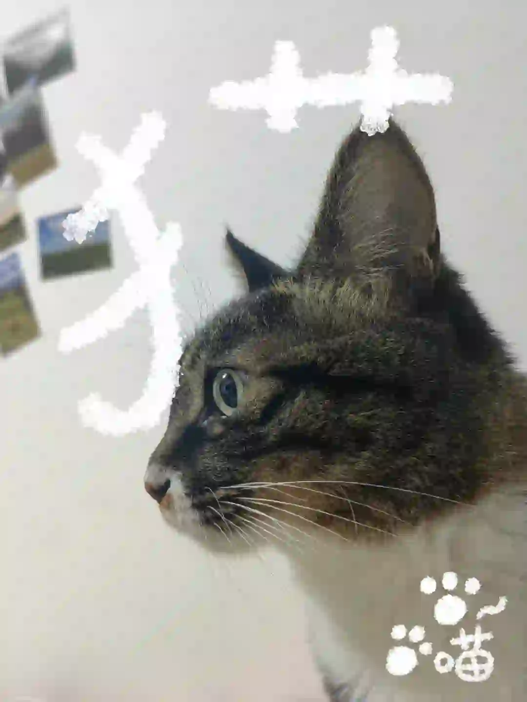 在郑州，美工找不到工作，我招聘不到美工！