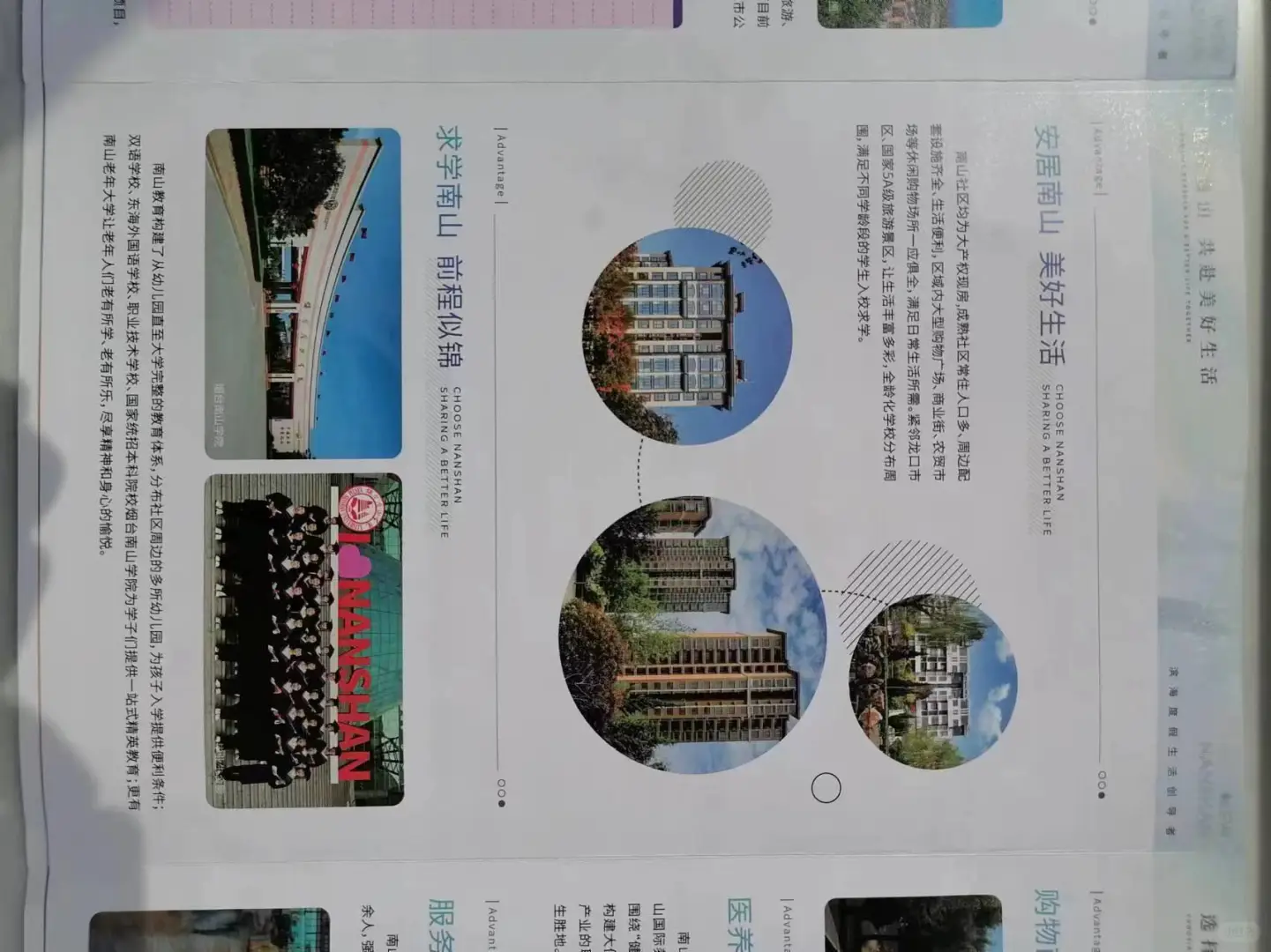 南山集团招人啦!!!