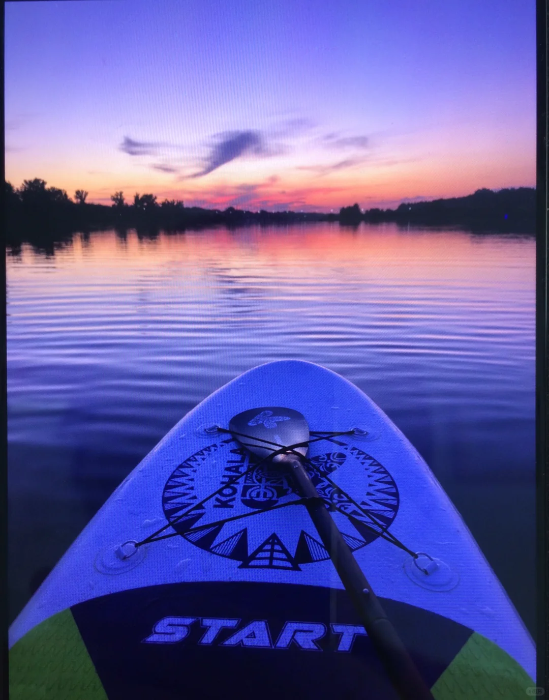 北京招聘运营助理一名