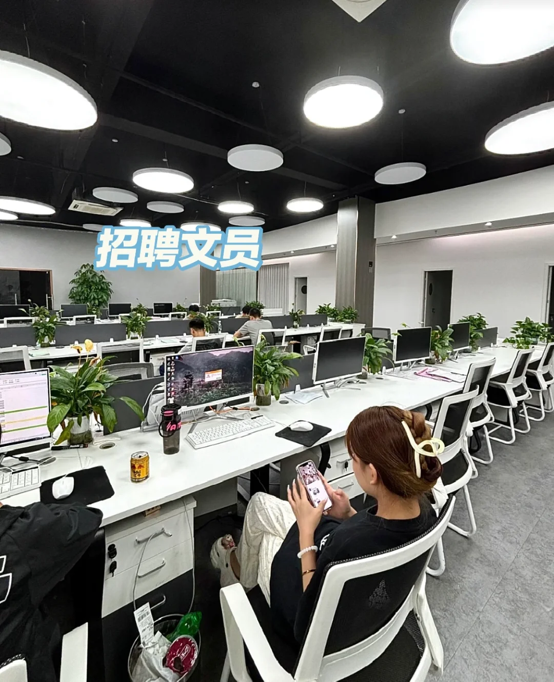 招聘办公室文员，无经验均可