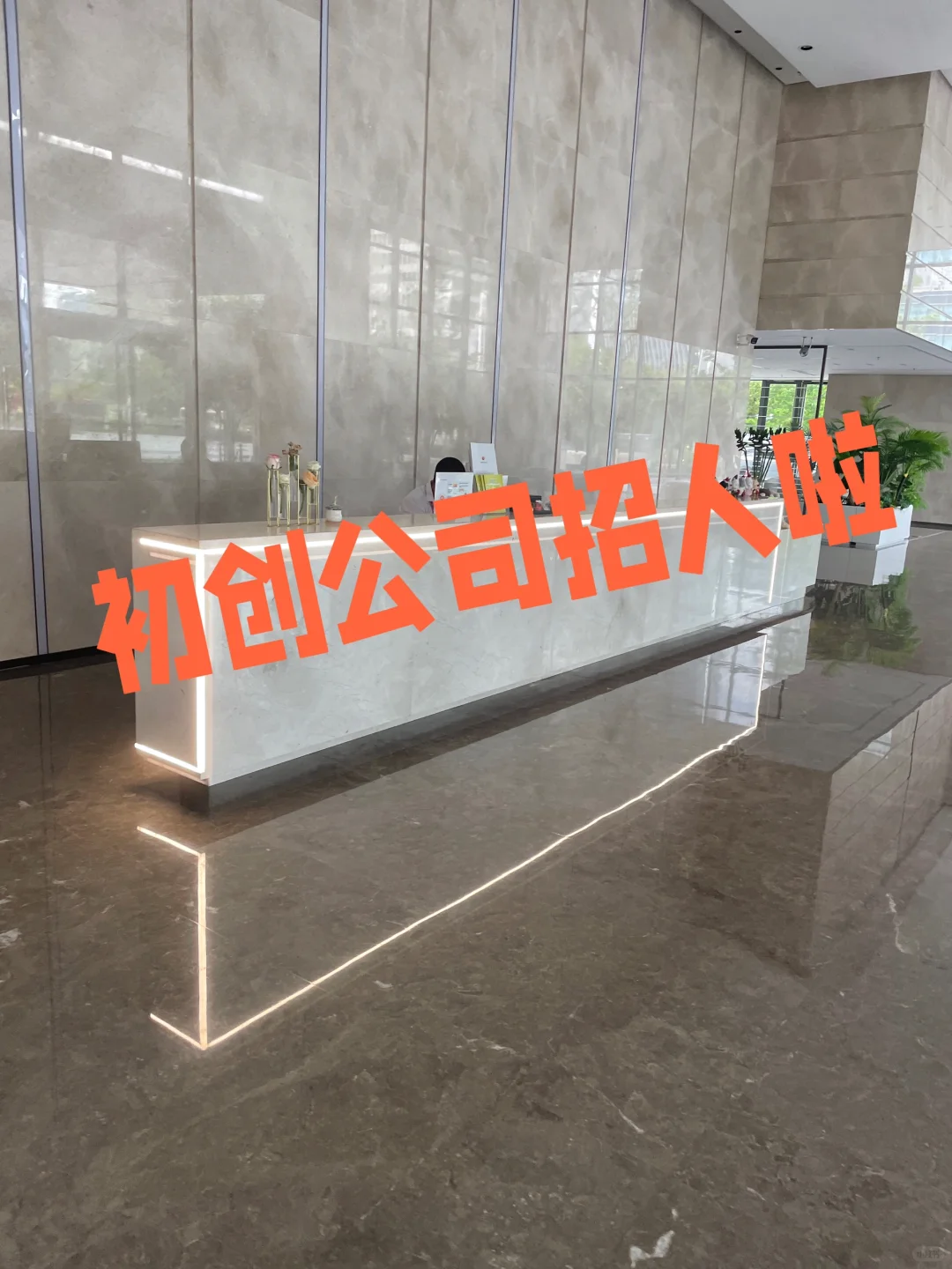 初创公司招聘了