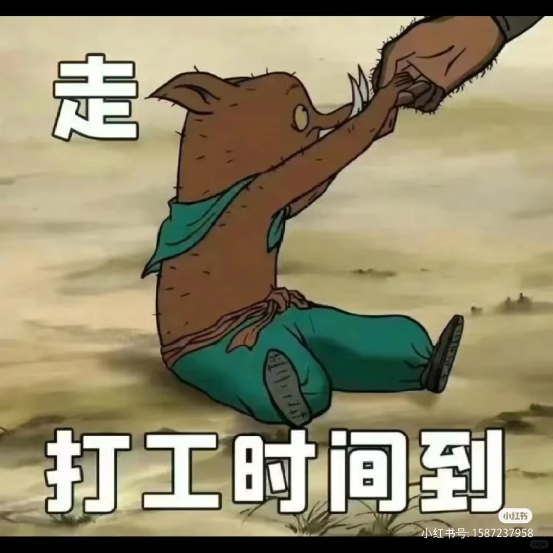 接受小白双休工作