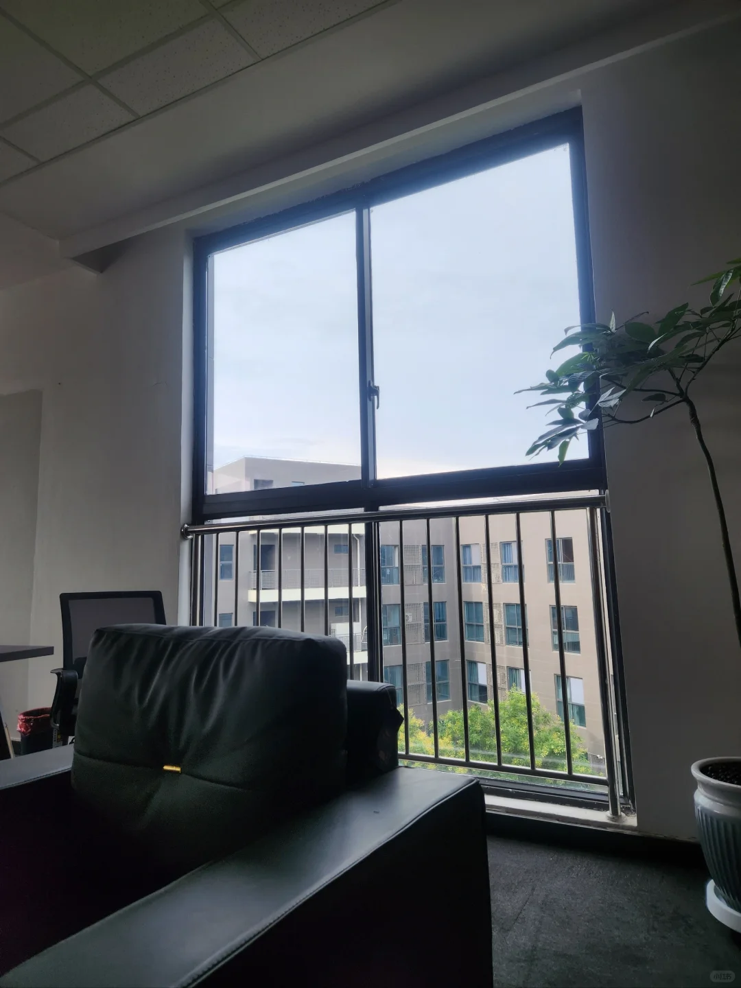 北航科技园电商公司招聘