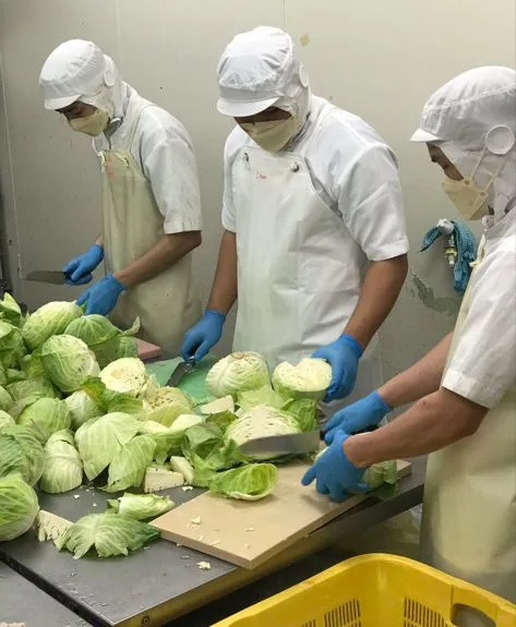 日本食品会社 【 直 接 招 聘 】