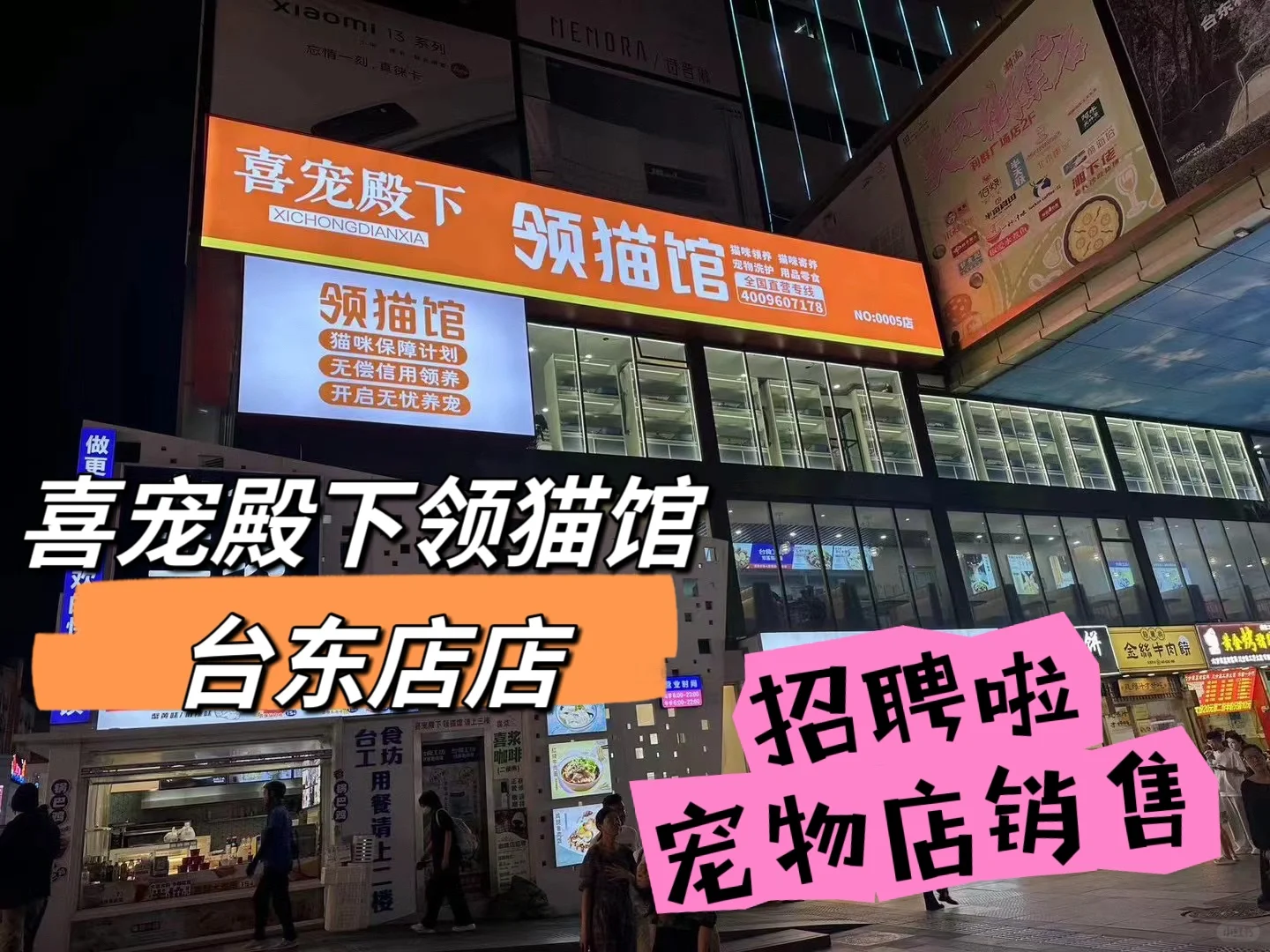 招聘｜喜宠殿下领猫馆 台东店 招聘销售啦