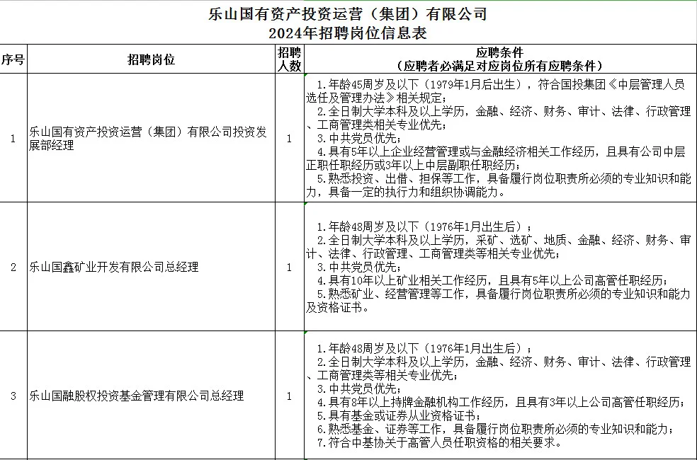 乐山国有资产投资运营有限公司公开招聘公告