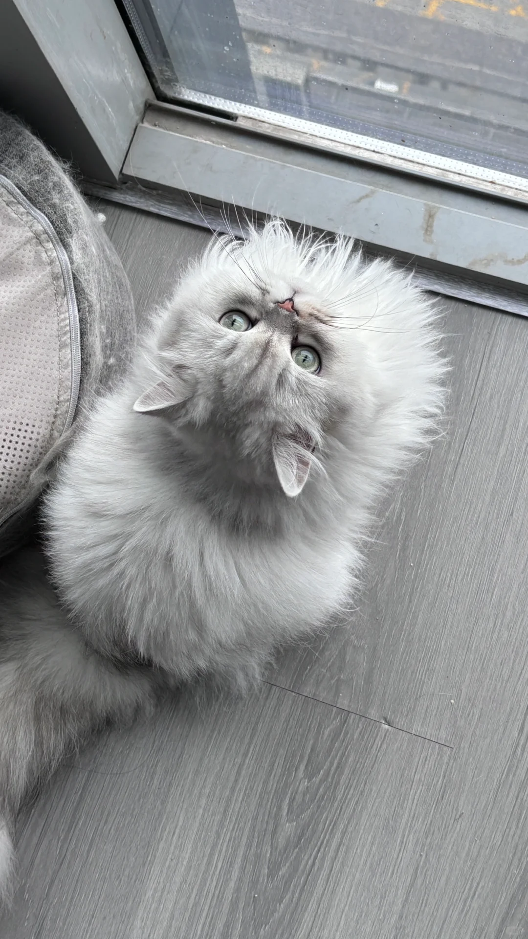 有没有宝子找工作呀～（非诚勿扰）