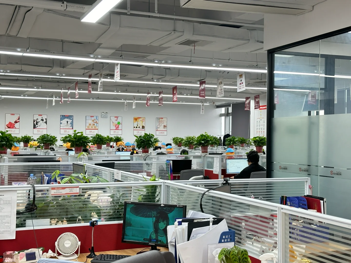 在合肥！！神仙公司