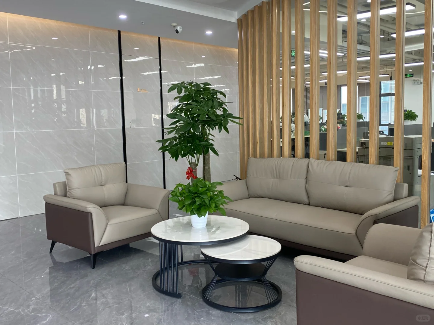 在深圳｜误打误撞进了神仙公司！？