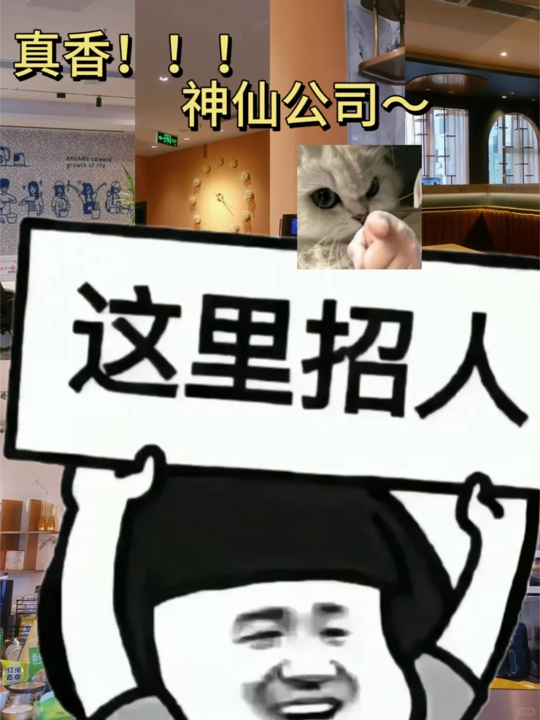 在线招聘“小祖宗”！宠你！爱你！陪伴你！