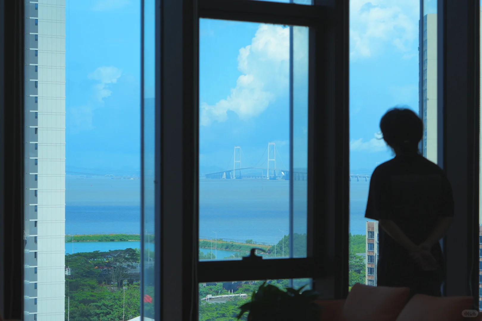 在深圳｜误打误撞进了神仙公司！？