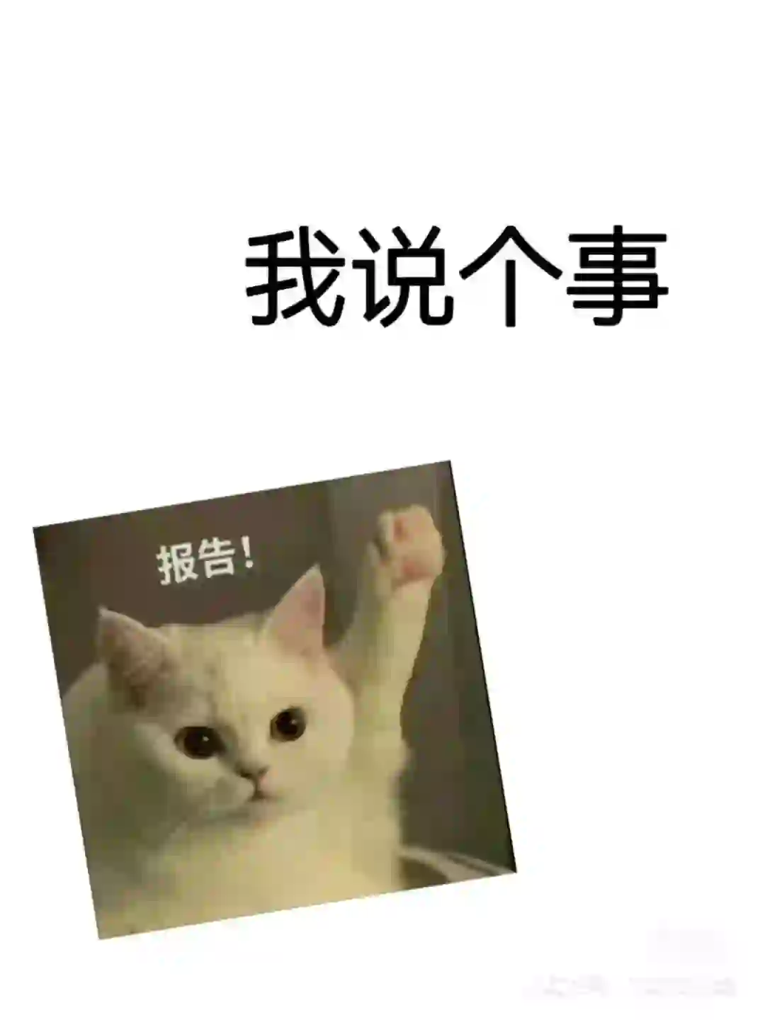 石家庄根本没有双休工作！