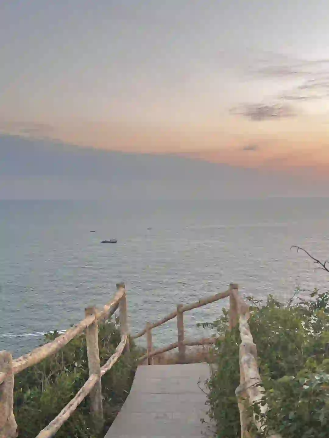 终于开始招人了