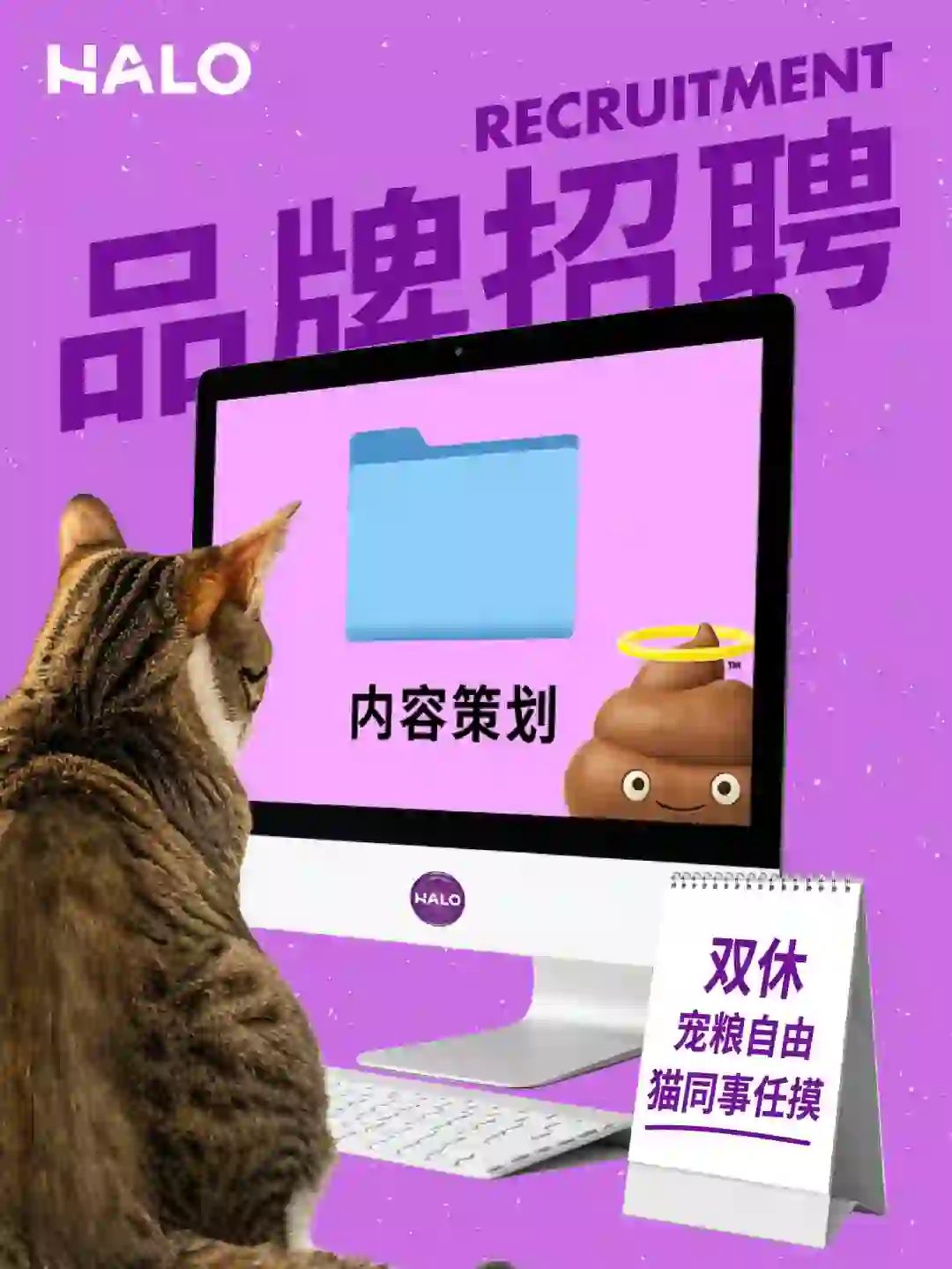 🐱🐕同事任摸！内容策划岗位开放中！