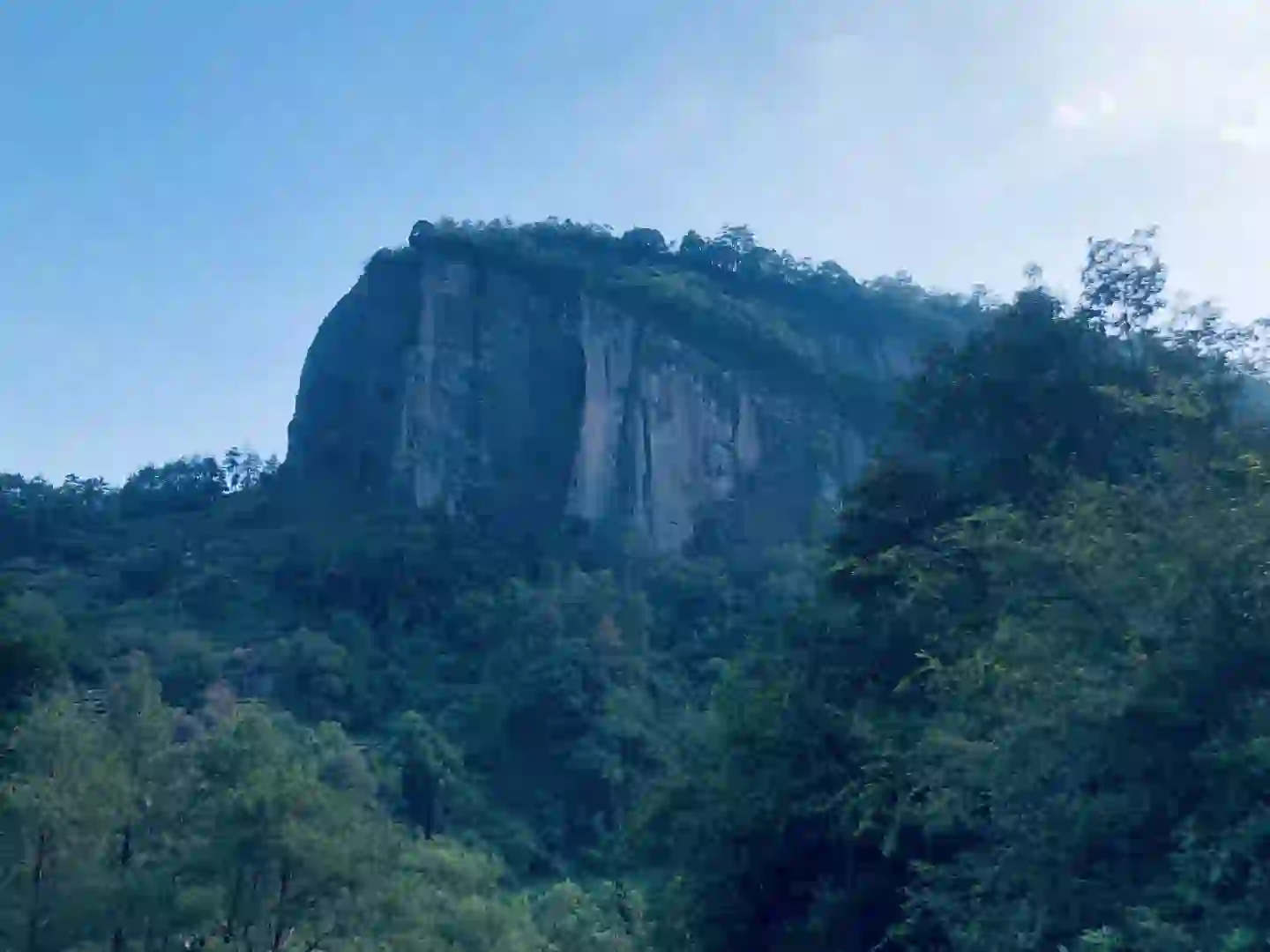 依然介绍岗位的骆驼🐫