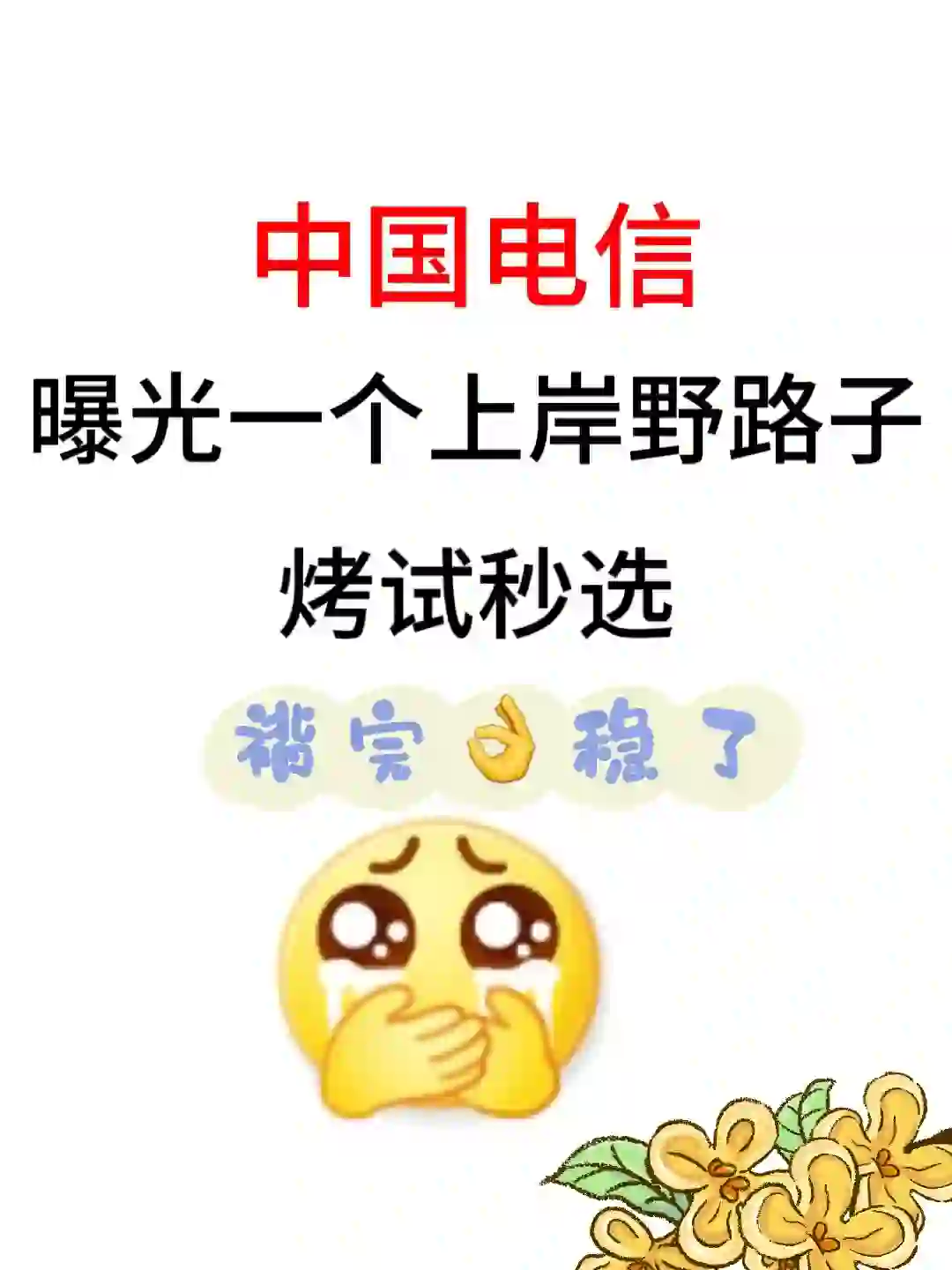中国电信招聘 不开玩笑 要褙的不多 就这些