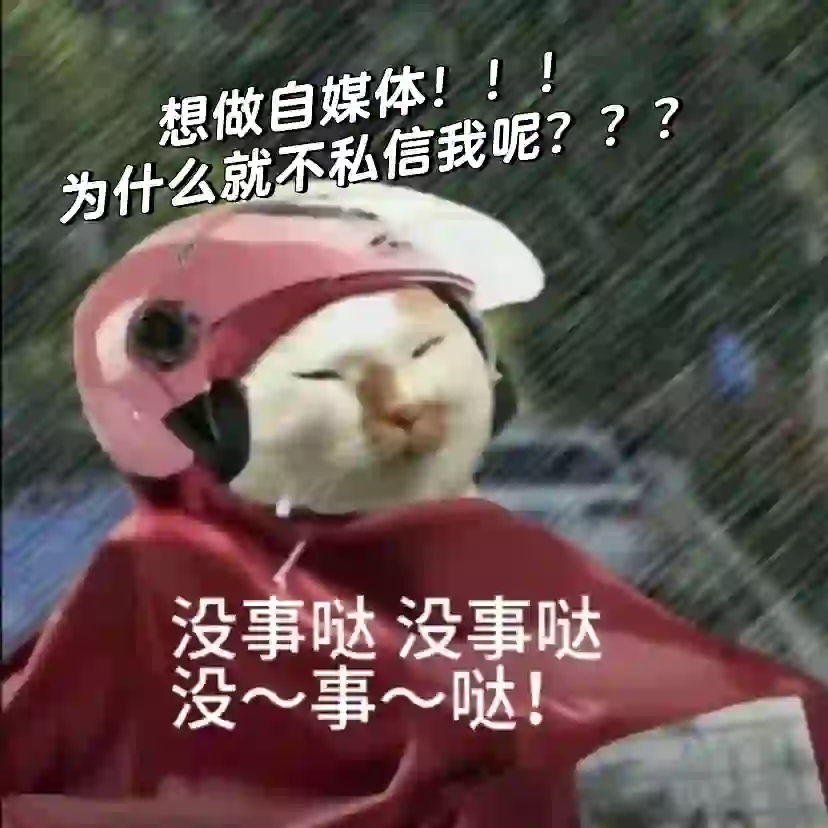 MCN公司聘！！！