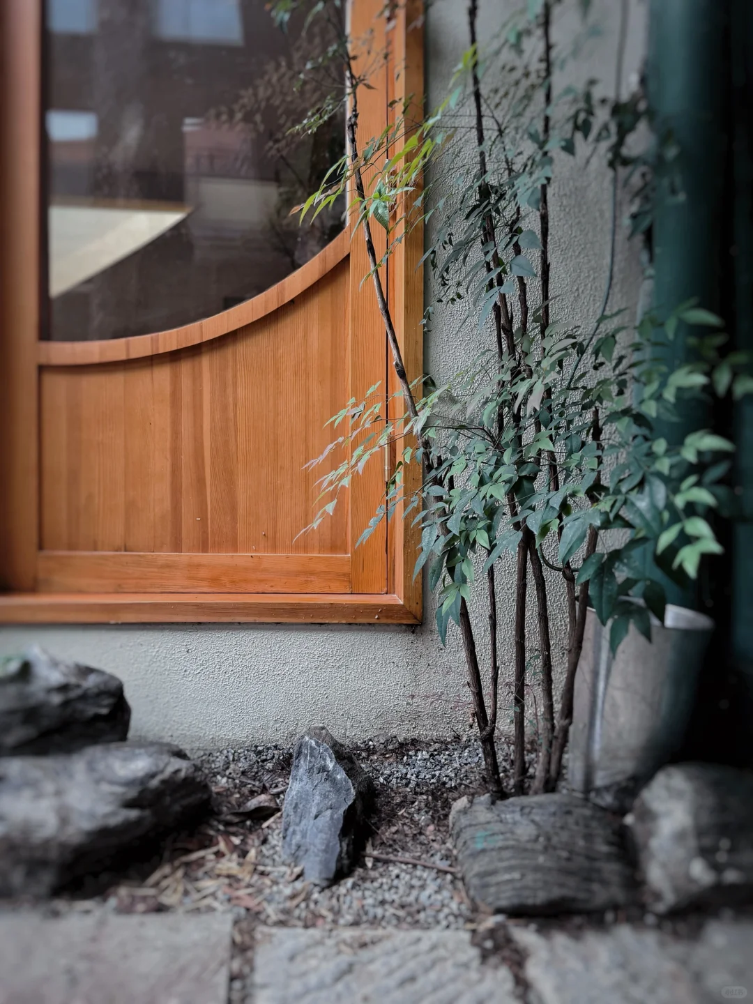 招聘｜我们还需要几位兼职的伙伴，35+也友好