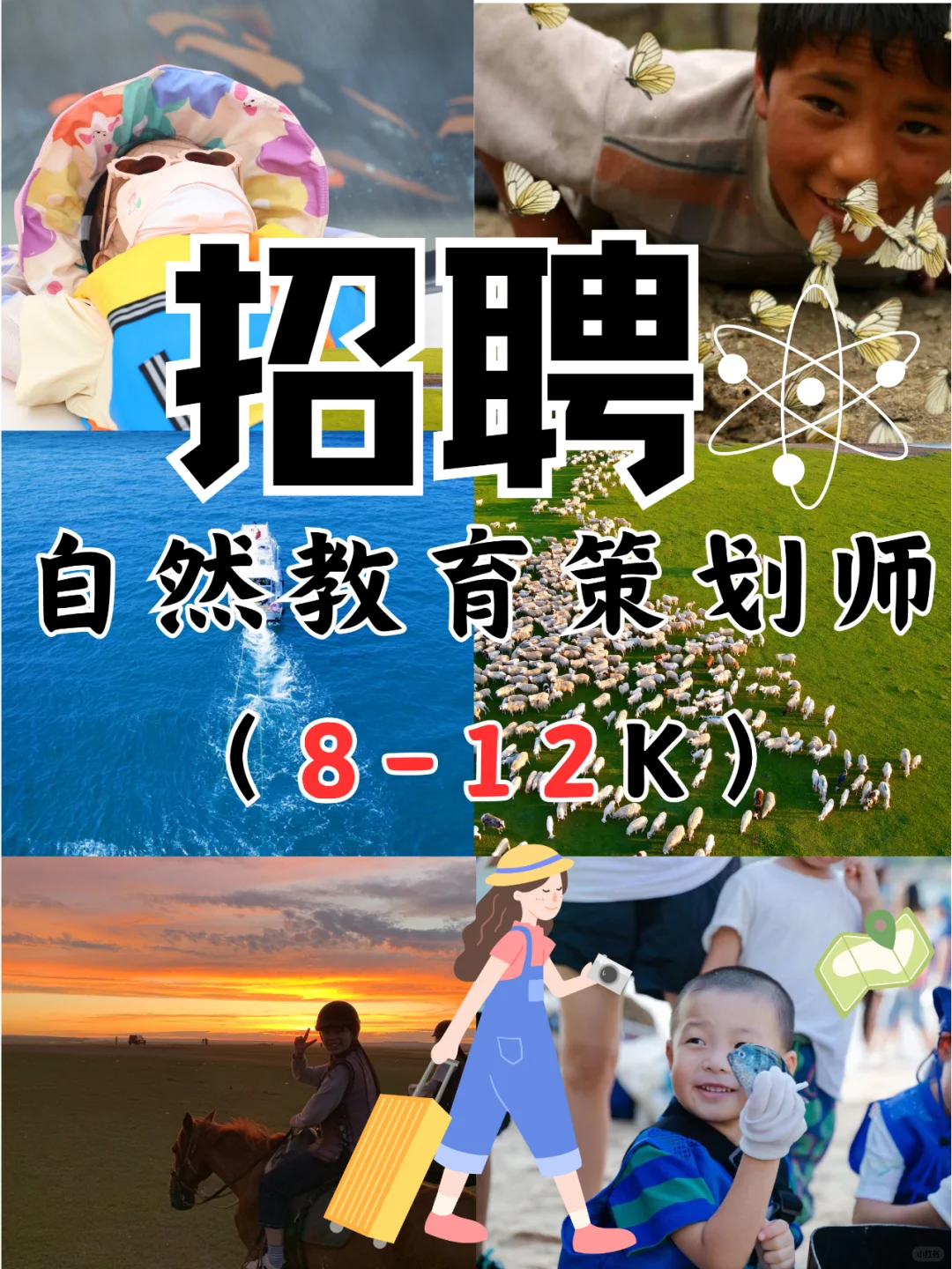 聘❣️我们来招实习生啦📍深圳|求职