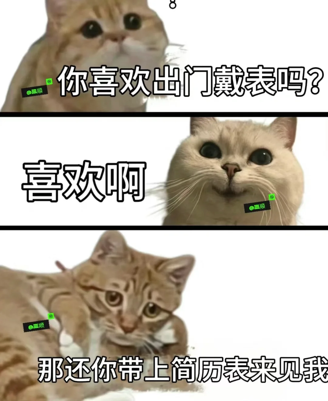 晋义金融中心招聘啦