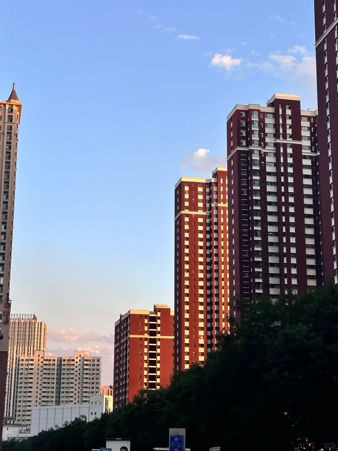 有没有姐妹找工作呀～（非诚勿扰）