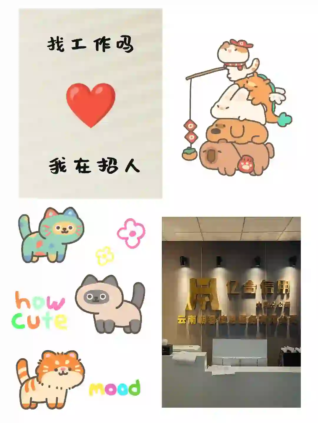 💯招聘啦招聘啦招聘啦！！！