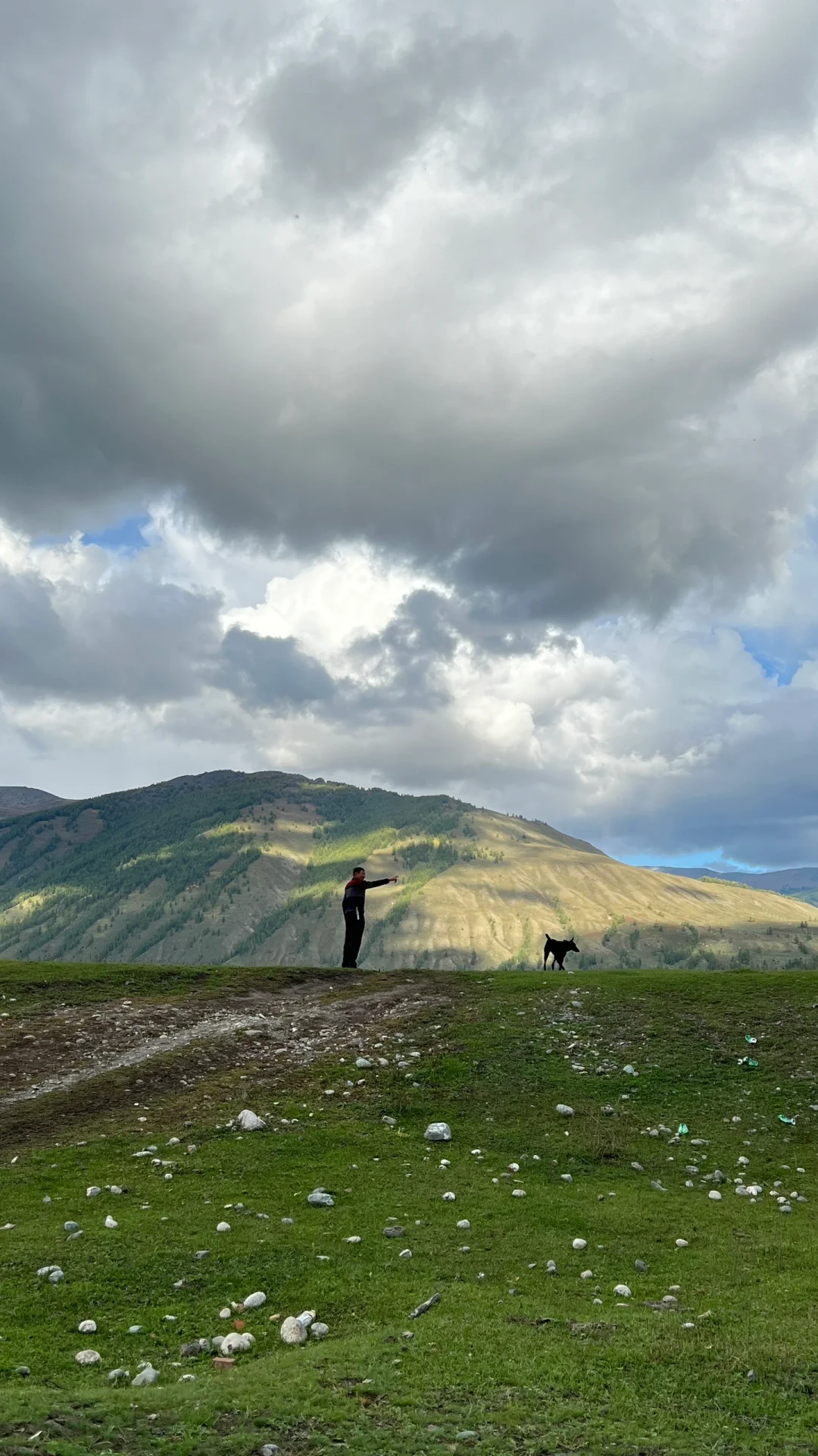 喀纳斯停泊招聘啦🌈