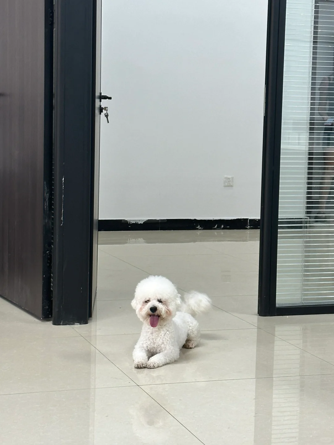 有没有姐妹找工作呀～（非诚勿扰）