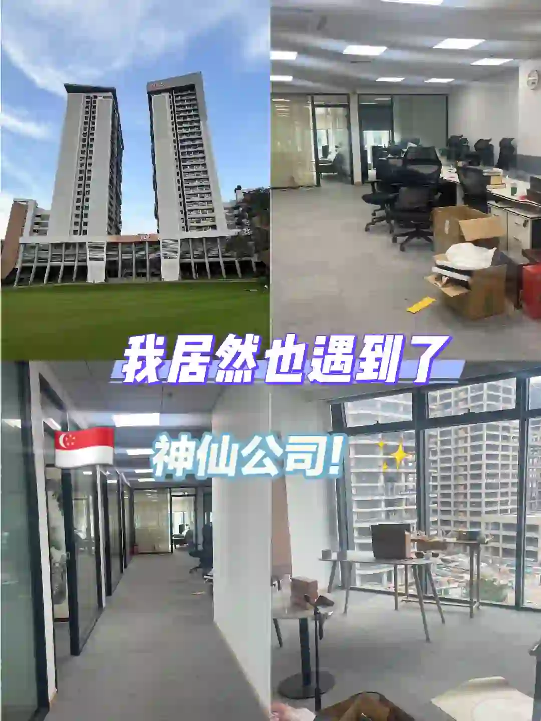 xhs上找到的神仙公司！🇸🇬