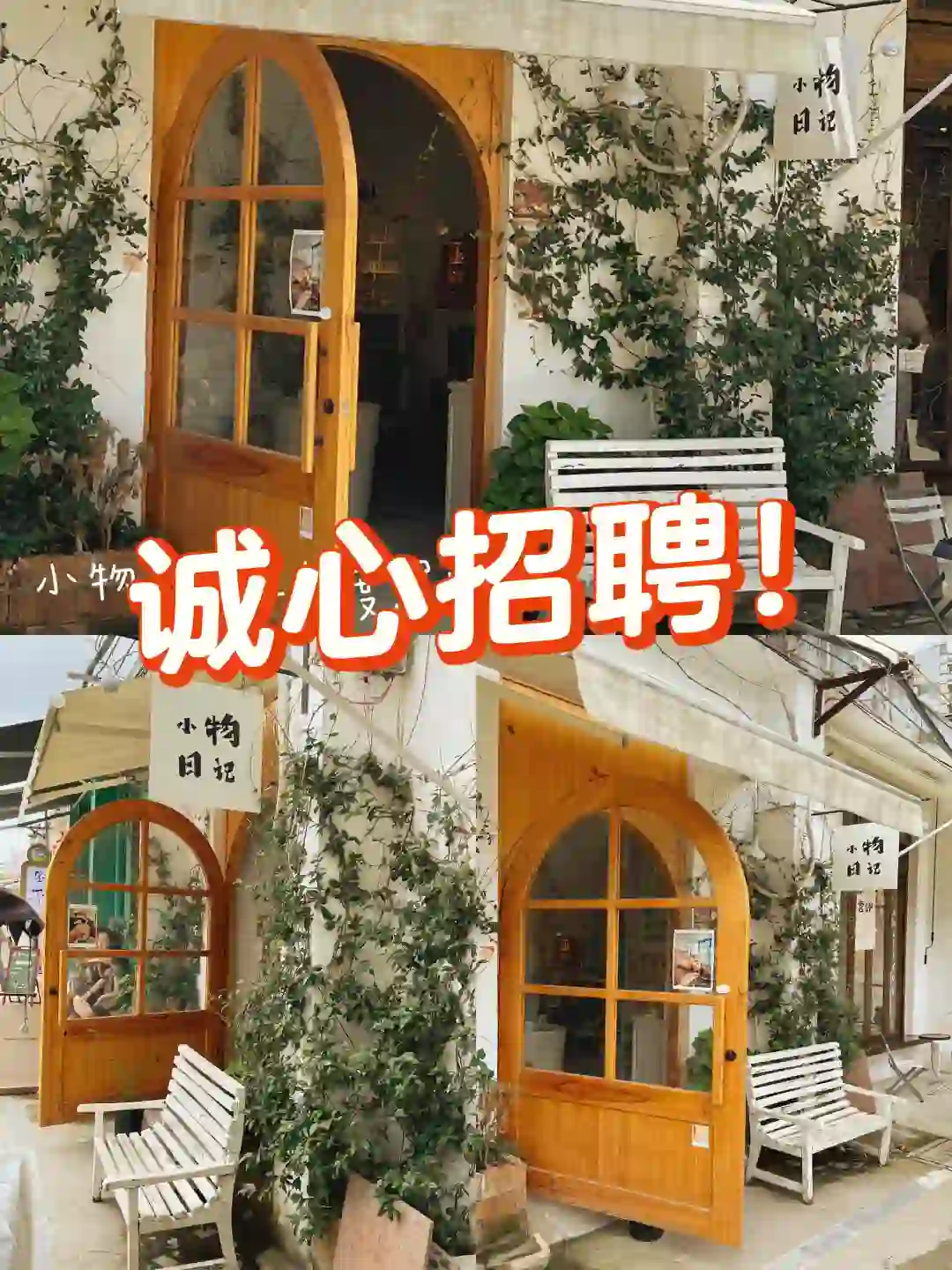 又又又，又招聘了❗️❗️❗️