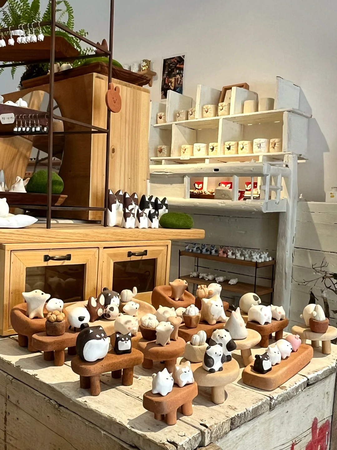 又又又，又招聘了❗️❗️❗️