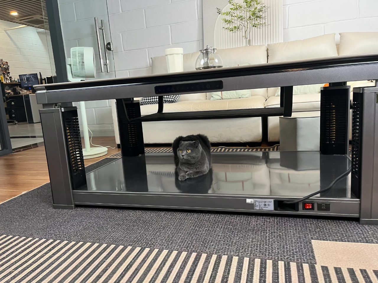 招聘 招聘 招聘！重要的事说三遍！！