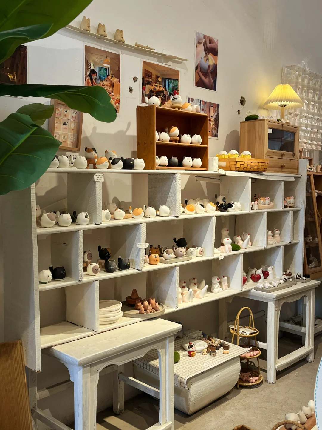 又又又，又招聘了❗️❗️❗️