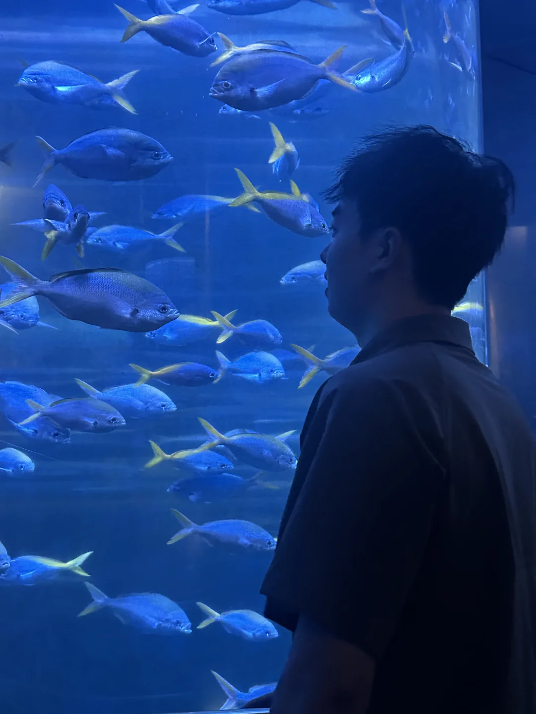 长沙双休招人啦！