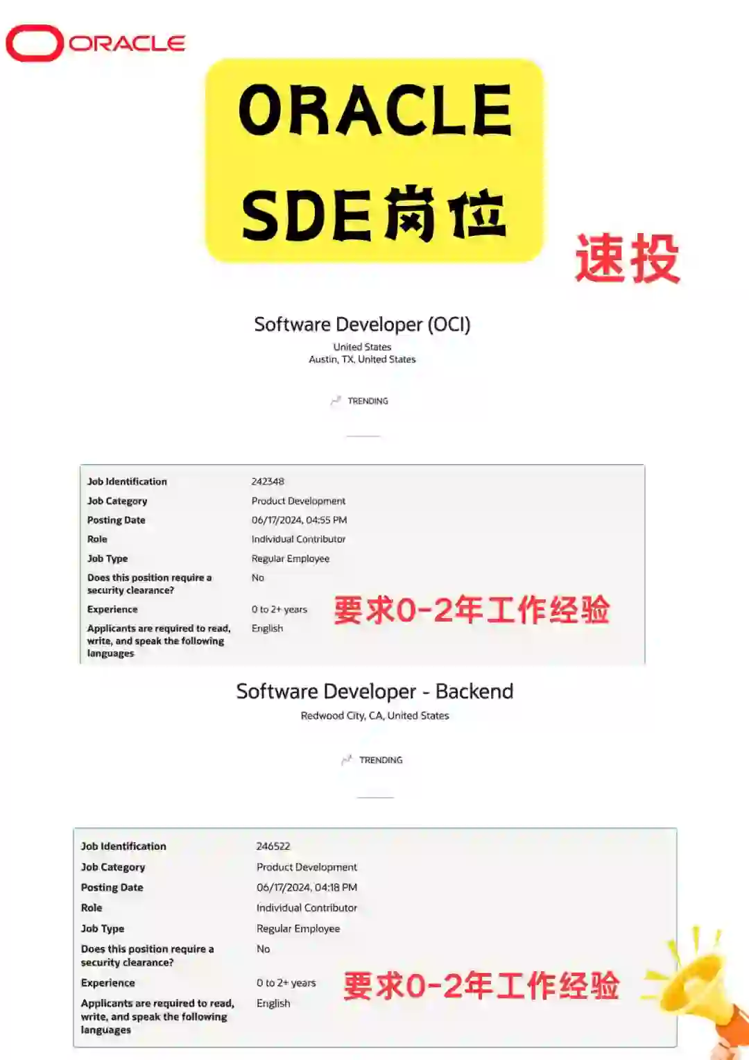 Oracle放出Entry Level岗位！