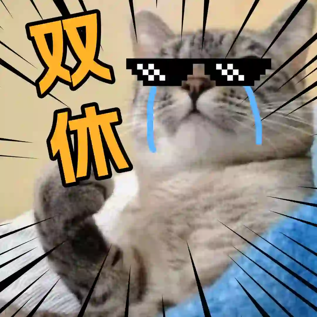 双休的公司都没人来吗!!!!!!