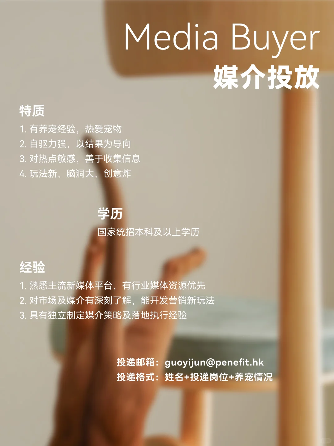 宠物公司 更多岗位开放