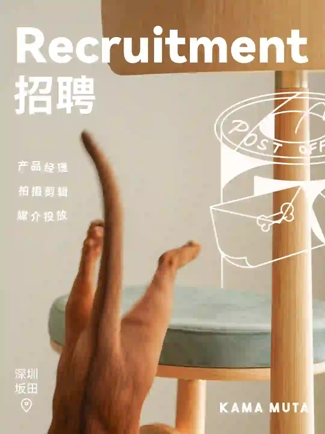 宠物公司 更多岗位开放