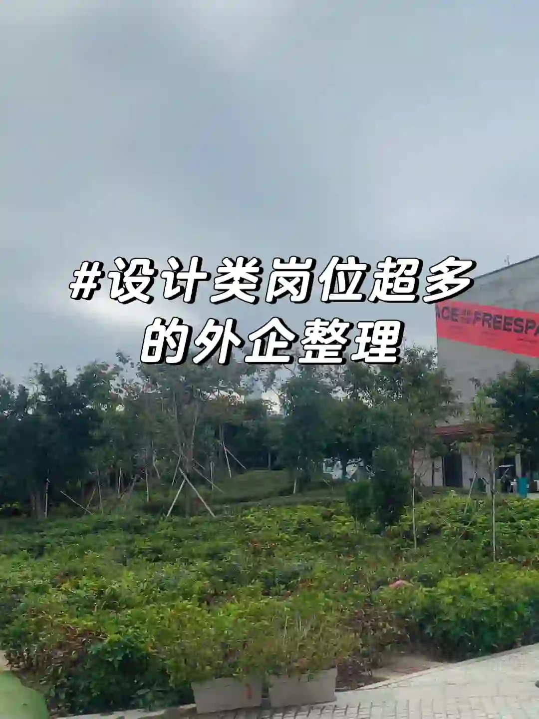 设计类岗位超多的外企整理