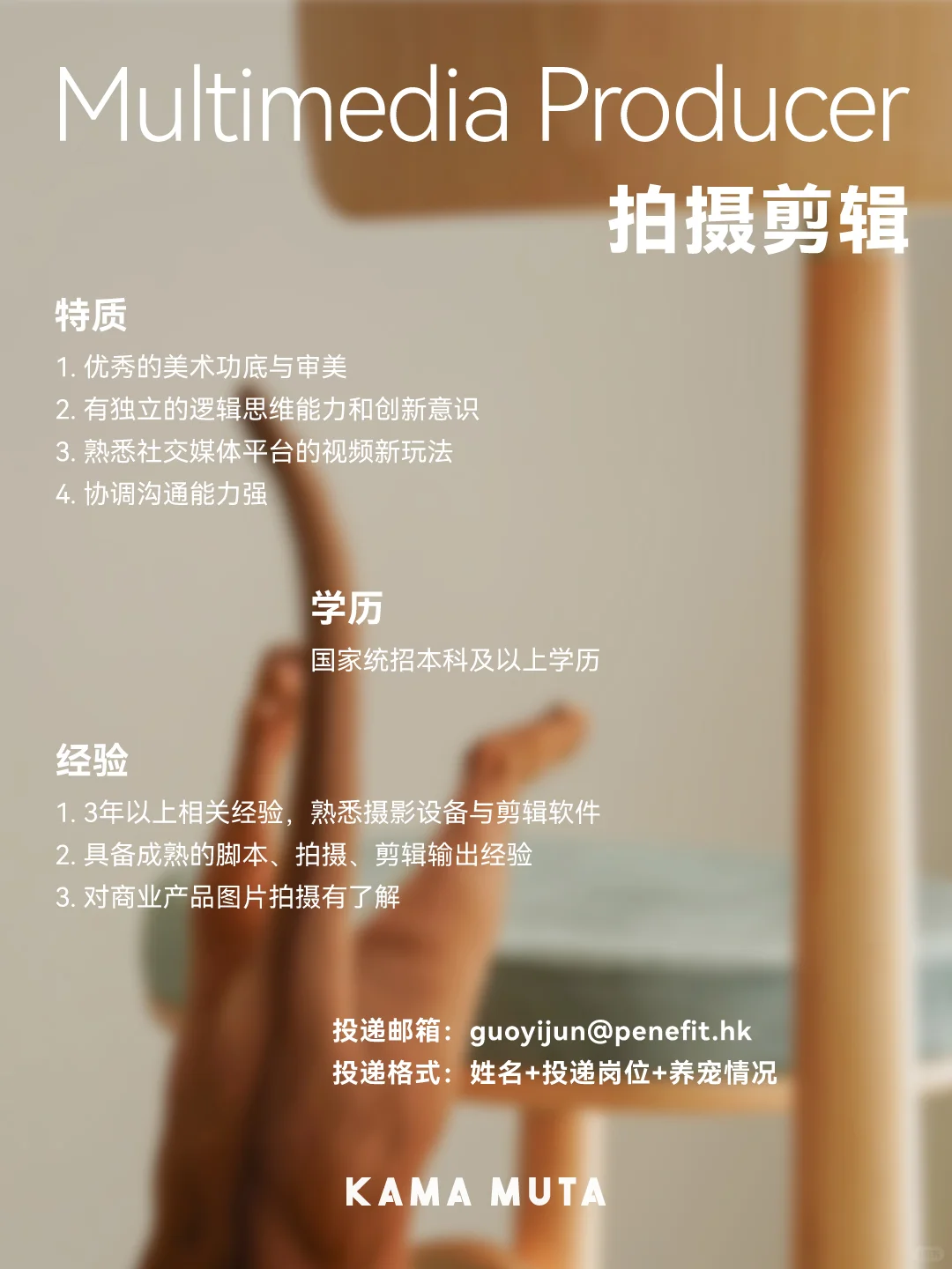 宠物公司 更多岗位开放