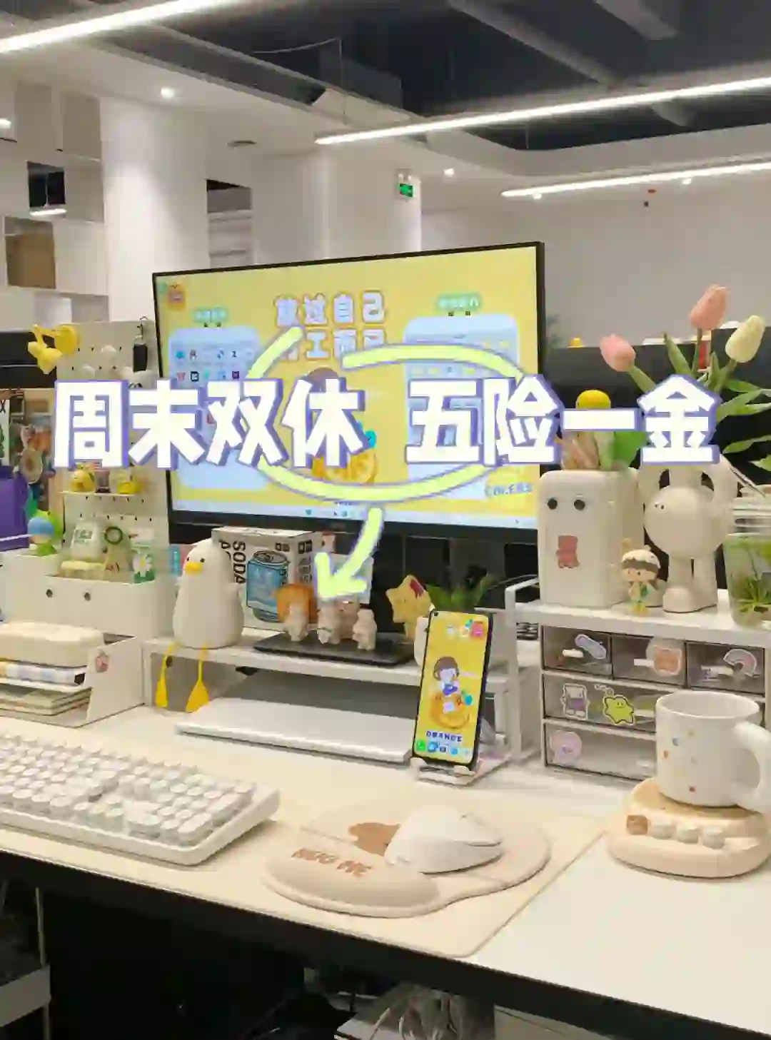 周末双休，上班轻松摸鱼🐟