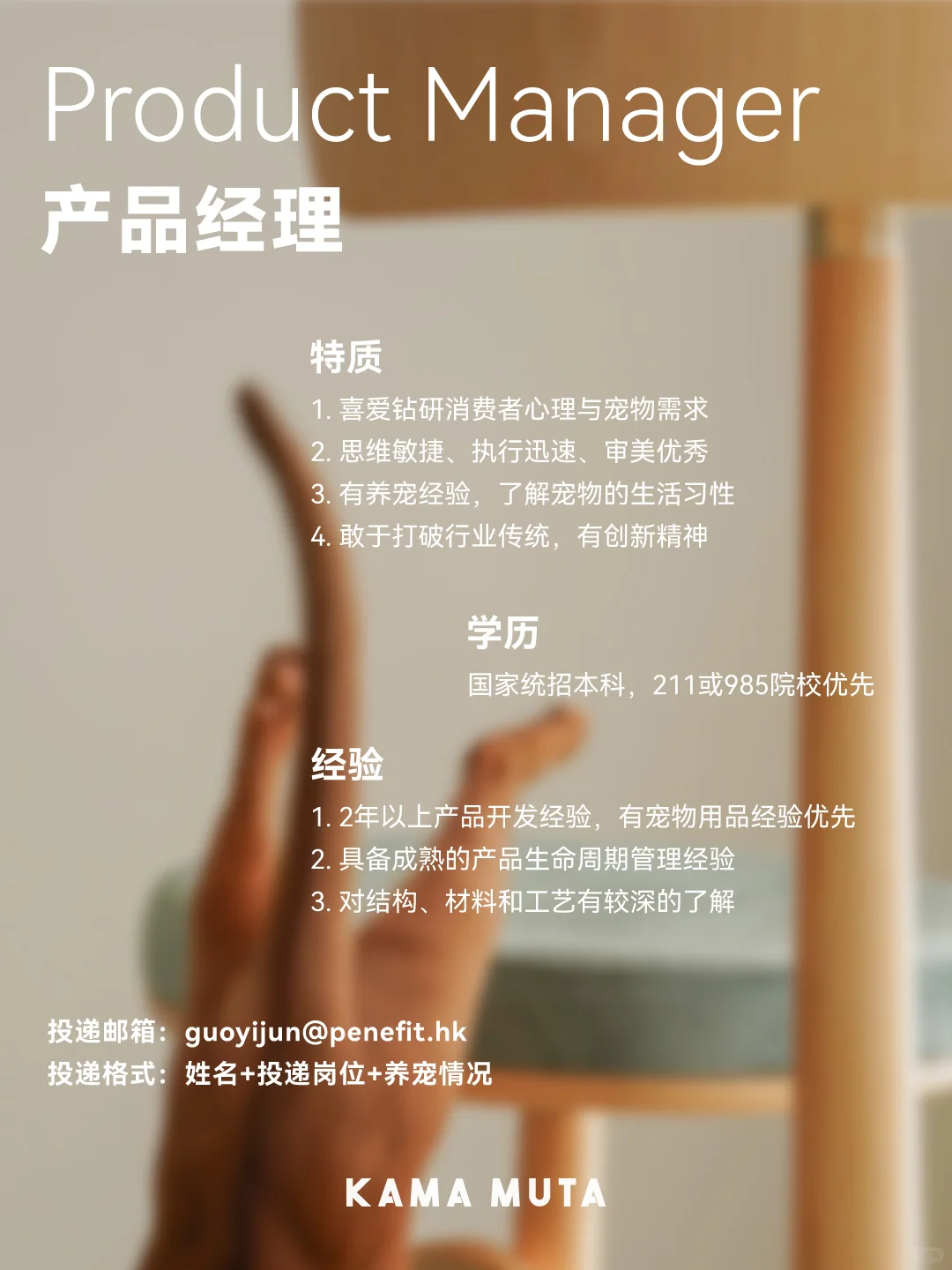 宠物公司 更多岗位开放