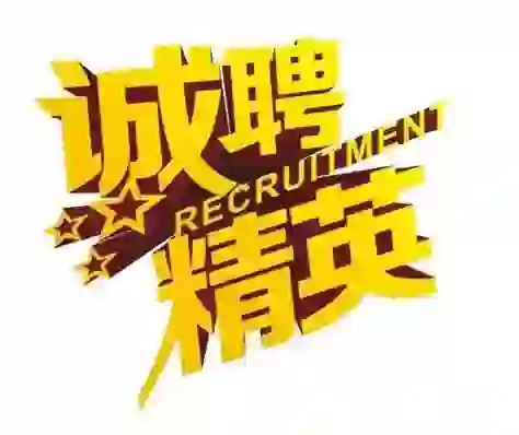 融资租赁公司聘债券团队负责人