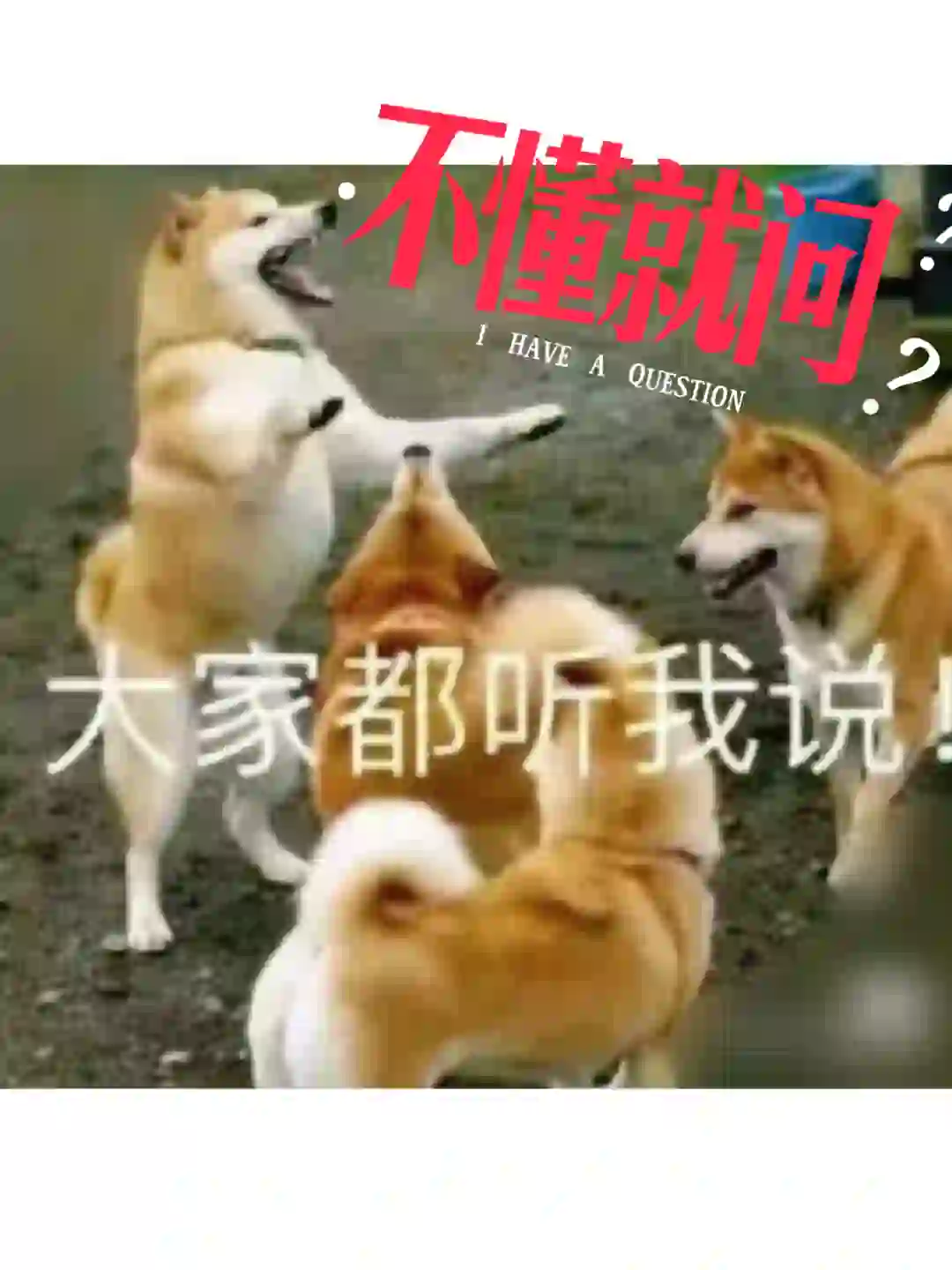 呼市哪里有人性化公司啊